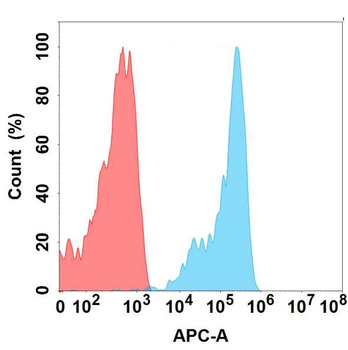 FZD10 Antibody
