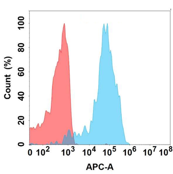 CDH1 Antibody