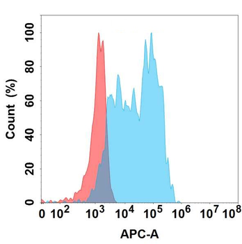 CHI3L1 Antibody