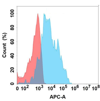 C5AR2 Antibody