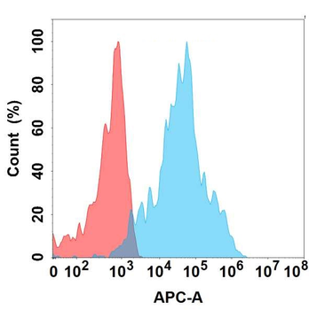 ADGRE1 Antibody
