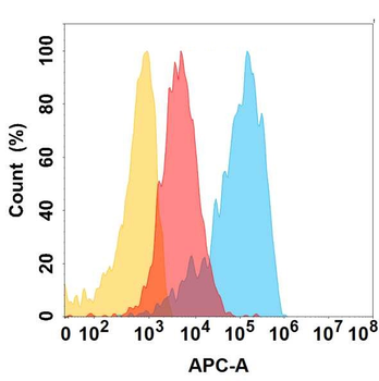 CD164 Antibody