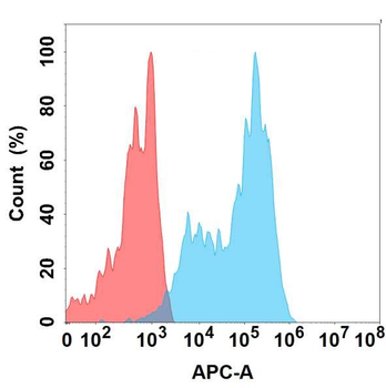 SIGLEC7 Antibody