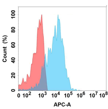 EMCN Antibody