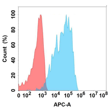 CXCR1 Antibody