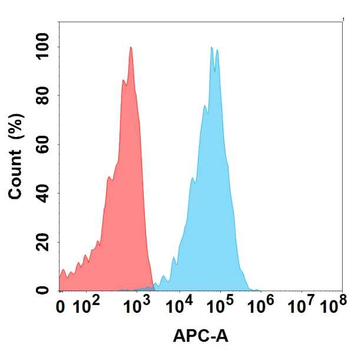 CLEC9A Antibody