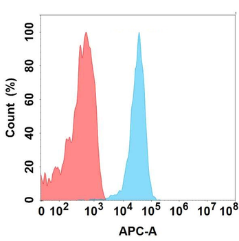 CLEC1A Antibody
