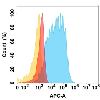 CD117 Antibody