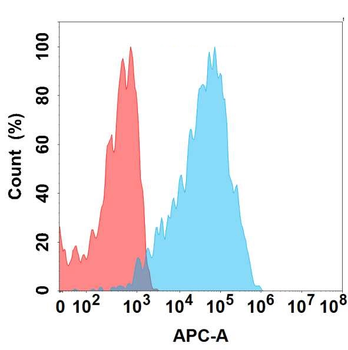 CXCR7 Antibody