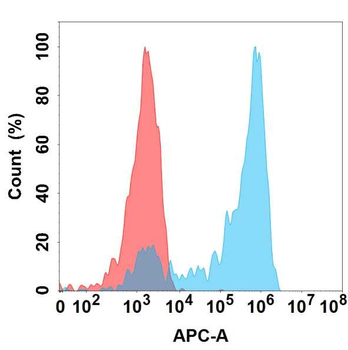 NECTIN4 Antibody