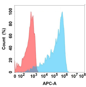 M-CSF Antibody