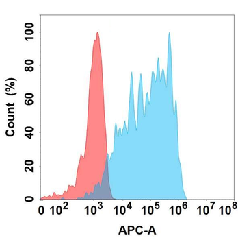 CD83 Antibody