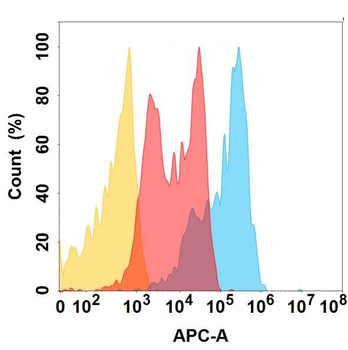 CD81 Antibody