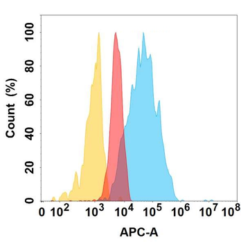 TSLP Antibody