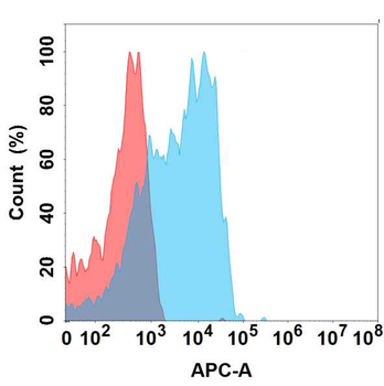 CD2 Antibody