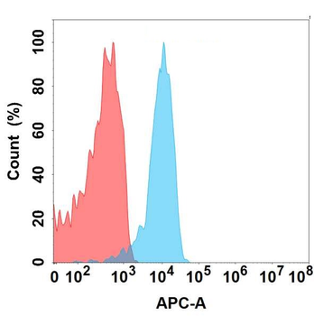 FLT3LG Antibody