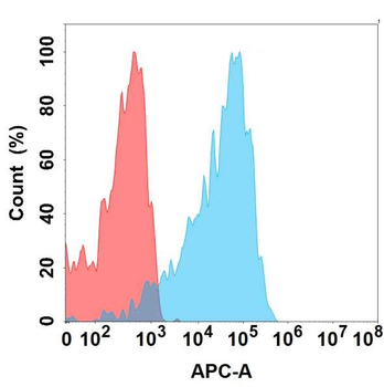 PMEL Antibody
