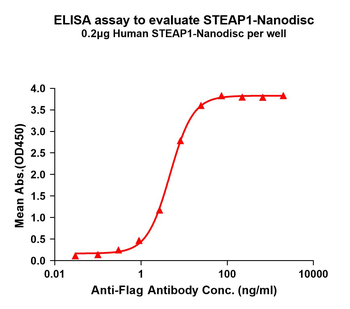 Human STEAP1 full length protein-synthetic nanodisc