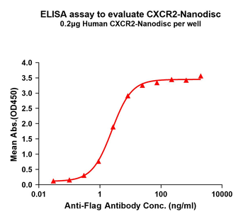 Human CXCR2 full length protein-synthetic nanodisc