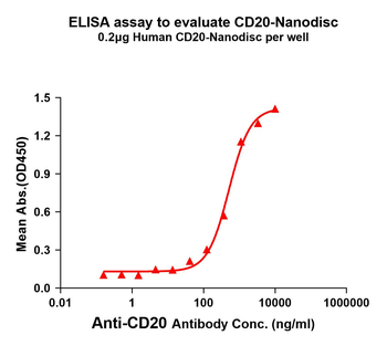 Human CD20 full length protein-synthetic nanodisc