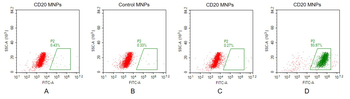 Human CD20 full length protein-MNP