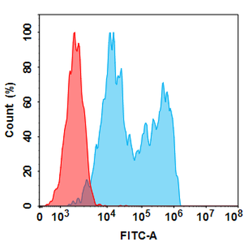 CD20 Biosimilar Antibody