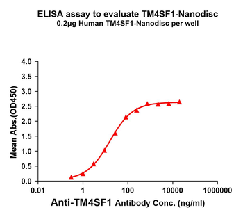 TM4SF1 Biosimilar Antibody