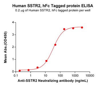 Human MERTK Protein, His Tag