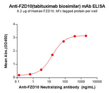 FZD10 Biosimilar Antibody