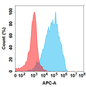 FZD10 Biosimilar Antibody