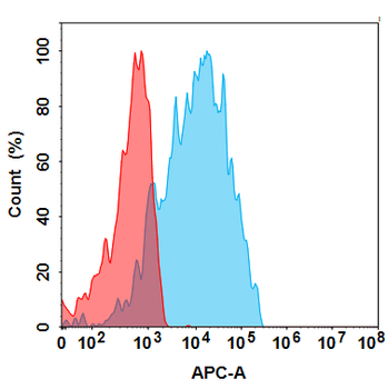 CEACAM5 Biosimilar Antibody