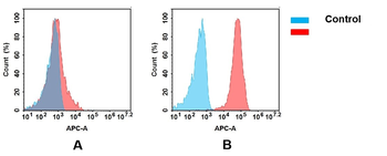 CD166 Biosimilar Antibody