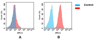 CD166 Biosimilar Antibody
