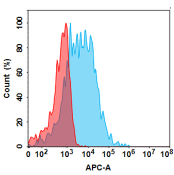CD74 Biosimilar Antibody