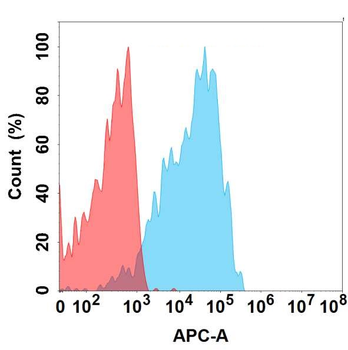 CLEC4C Antibody