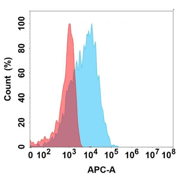 CGRP Antibody