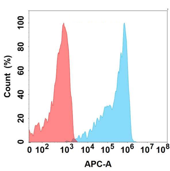 BTN3A2 Antibody