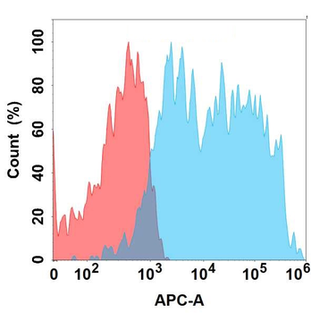 CCR5 Antibody