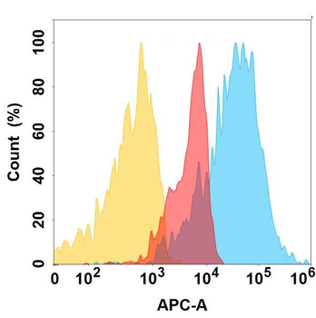 IGF-1R Antibody