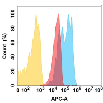 CXADR Antibody