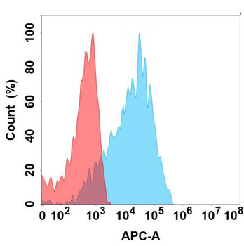 CDH6 Antibody