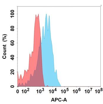 ILDR2 Biosimilar Antibody