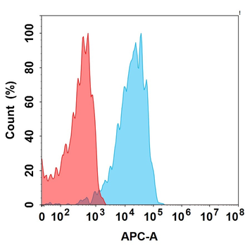 CD98 Biosimilar Antibody