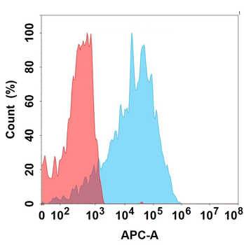 LILRB4 Biosimilar Antibody