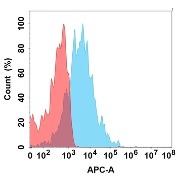 IL1RL2 Biosimilar Antibody