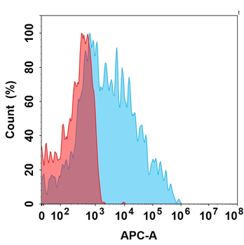 CDH17 Biosimilar Antibody