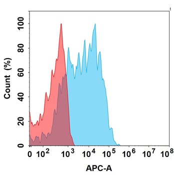 CDH6 Biosimilar Antibody