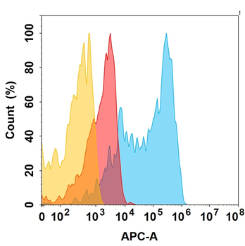 ACVR2B Biosimilar Antibody