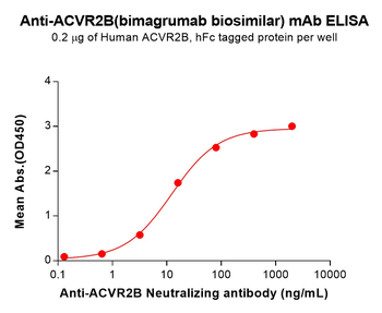 ACVR2B Biosimilar Antibody