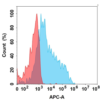 CD79B Biosimilar Antibody